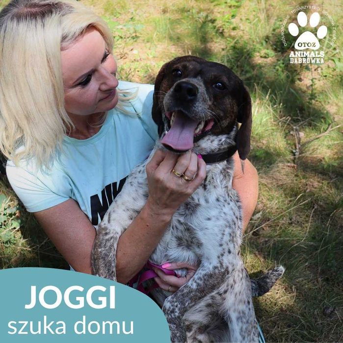 Joggi szuka domu !