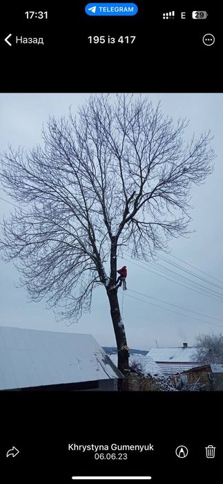 Чистка ділянок, благоустрій території, вивіз, подрібнення гілок