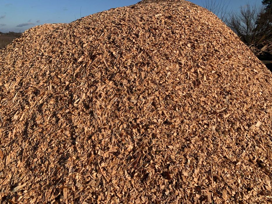 Щепа тріска паливна сосна