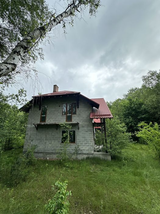 Продаж двох котеджів (або один) недалеко від Шацьку