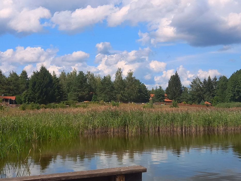 Wynajmę domek letniskowy na mazurach