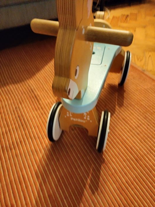 Rena - Triciclo sem pedais