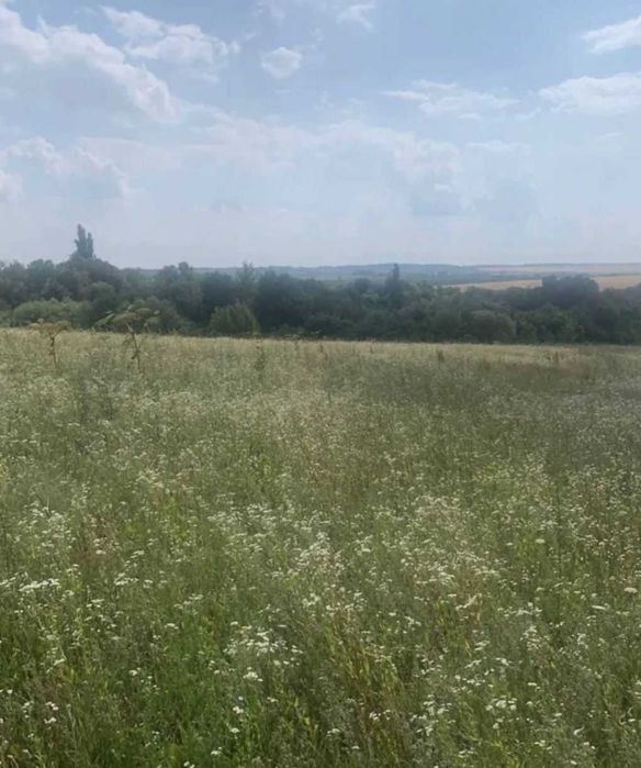 Продаж 4ділянки,житл. забудова, 5,03 сотки кожна,Грузевиця 3 Дальні Гречани Хмельницький