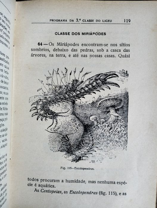 Livro Noções de Zoologia - 1934