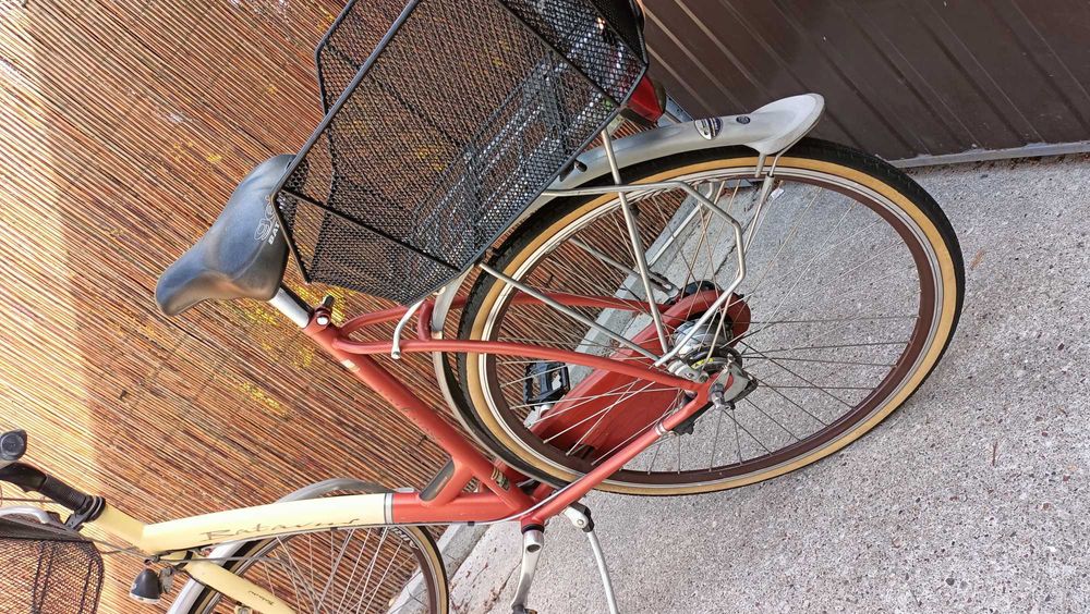 Batavus Rower damski