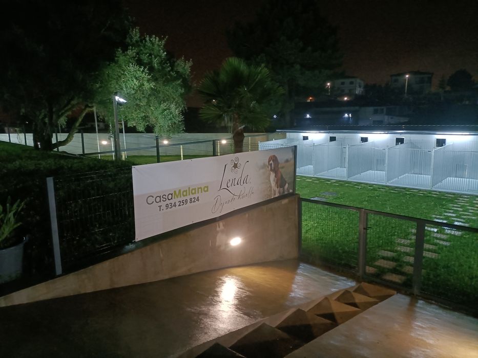 Serviço de Hotel Canino