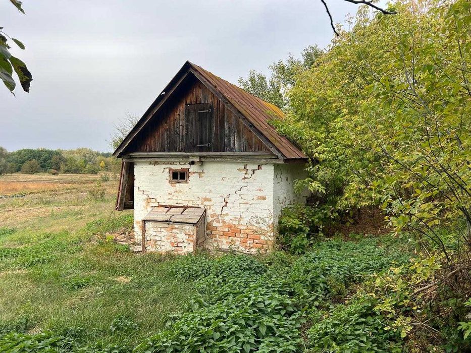 Будинок,Вільшана,земельна ділянка
