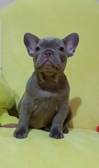 Гарнюня для всієї родини