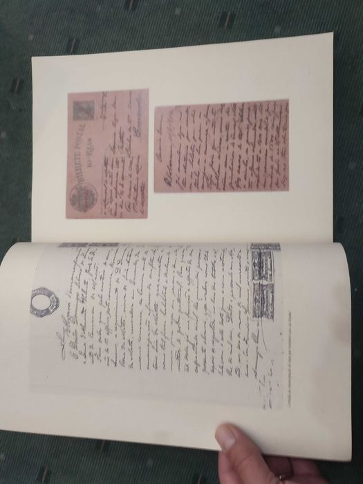 Os descendentes de Damia Rosa do Rosário e Luiz António da Matta 1858/2007