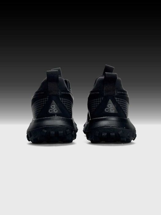 Кросівки  чоловічі Nike ACG Mountain Fly Low Gore-Tex