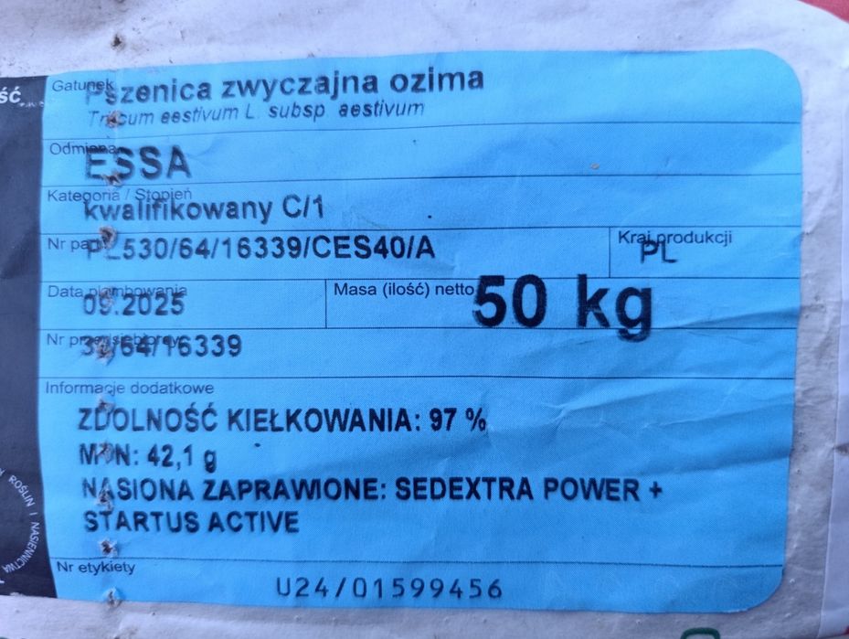 Pszenica ESSA po centrali, workowana