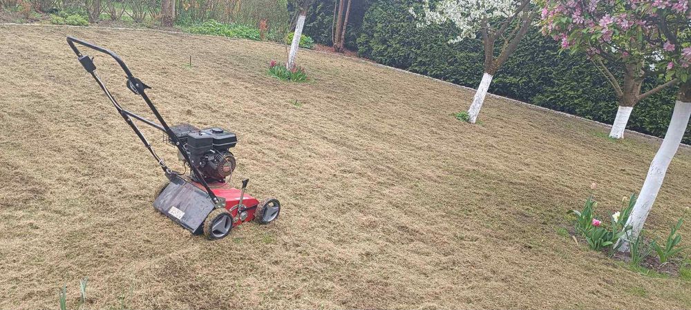 EINHELL Wertykulator GC-SC 4240 P