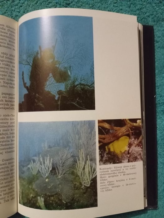 Дайвинг .Manfred Taege и Joahim Wagner. Океан. Кораловьіе ри