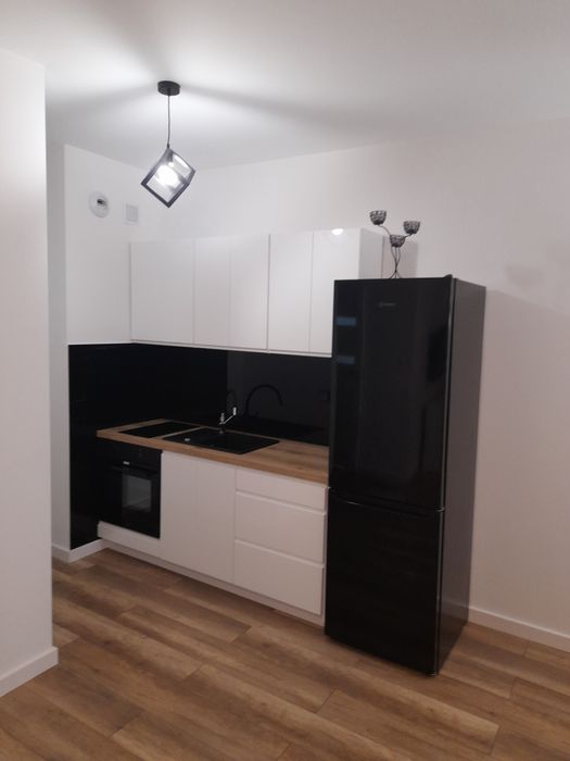wynajmę przestronny apartament typu studio