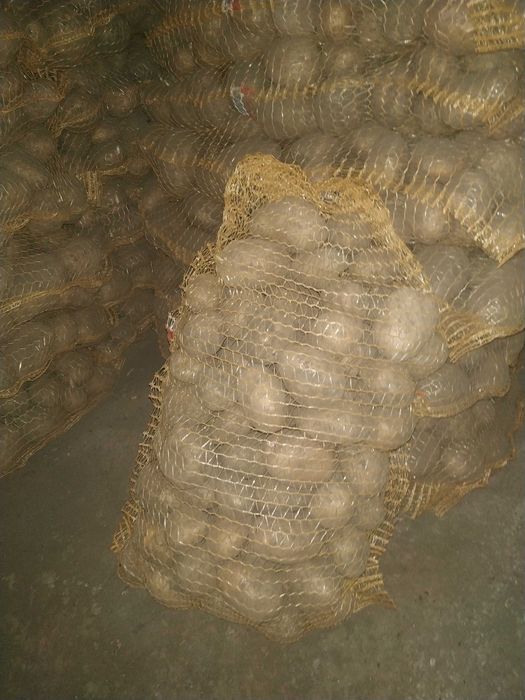 sprzedam ziemniaki jadalne