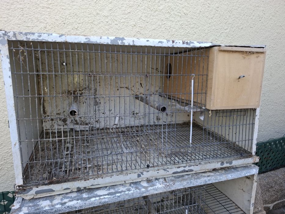 Vários viveiros e gaiolas