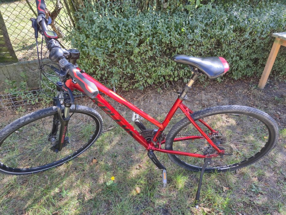 Rower Kellys Phebbe 30 M