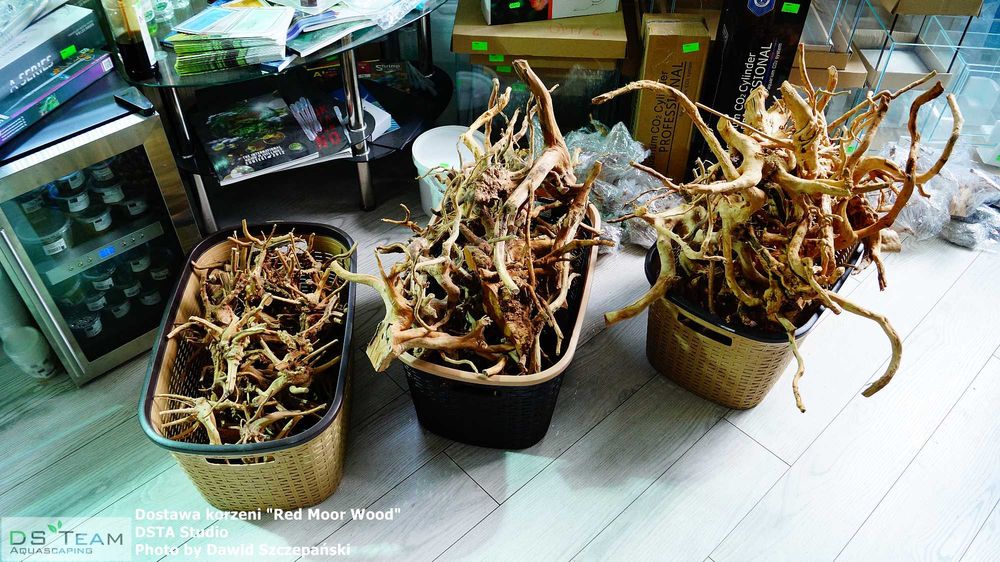 Korzenie japońskie do akwarium - duże