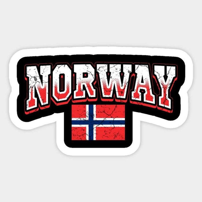 Perfect Language - indywidualne korepetycje z języka norweskiego