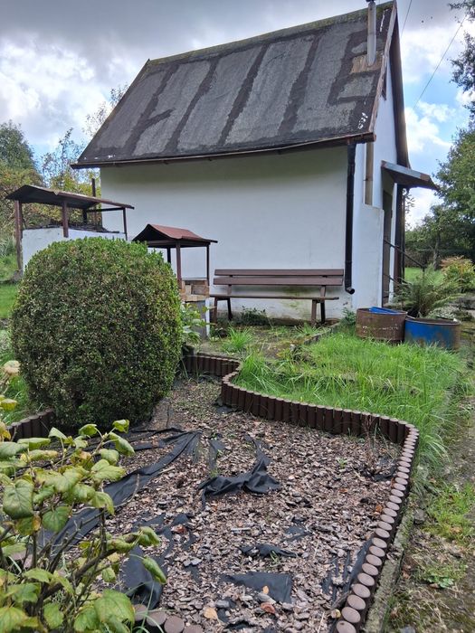 Ogródek działkowy Szczawno Zdrój