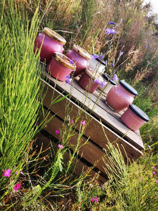 Miód owocowy z owocami