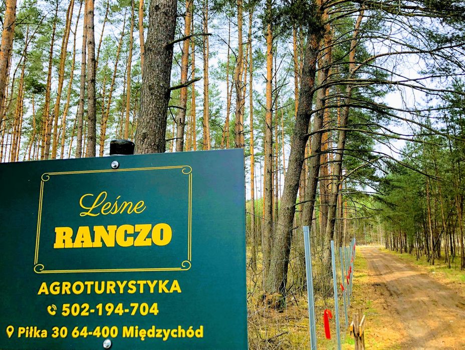Leśne Ranczo/24 miejsca noclegowe altana, ognisko, balia, las