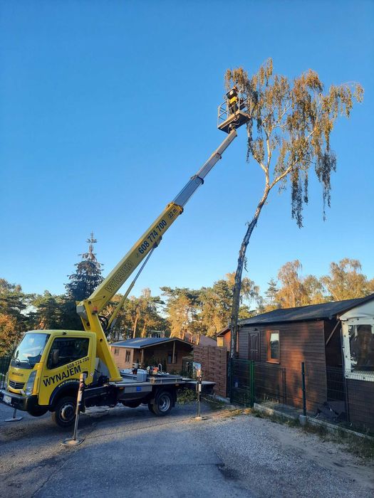 Wycinka i korekta drzew, Nowy Dwór Gd, Krynica Morska, Elbląg, Malbork