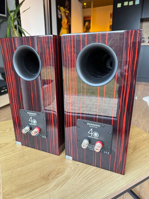 Kolumny Dynaudio Special 40 Forty SP40 Black Vine Focal Bowers Dali