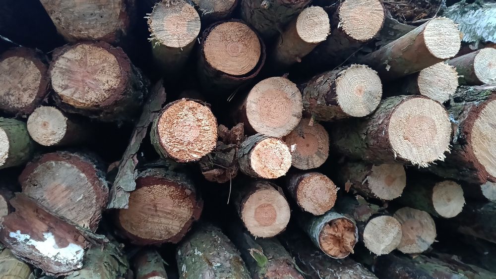 Drewno  opałowe/ kominkowe