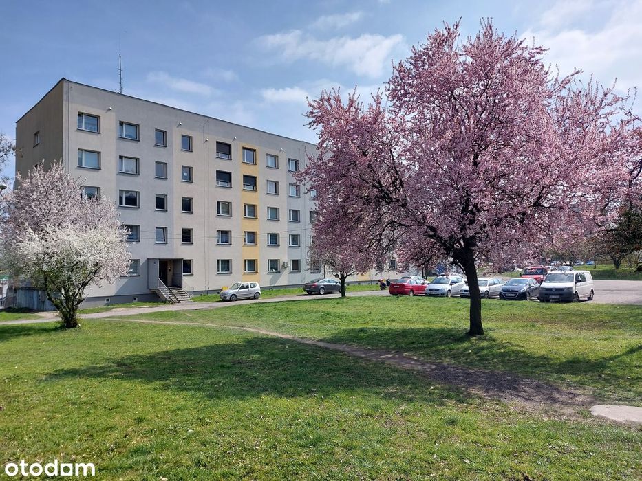 Wynajmę kawalerkę 30 m2