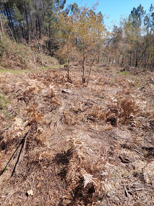 Vendo terreno Urbanizável