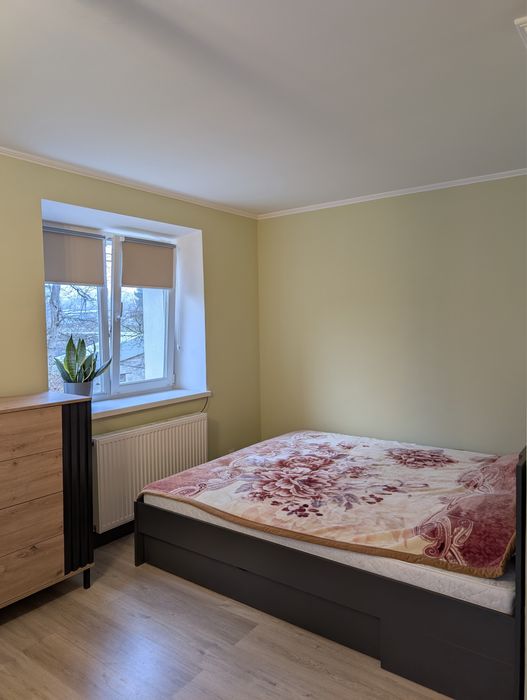 Власник. Здам затишну квартиру