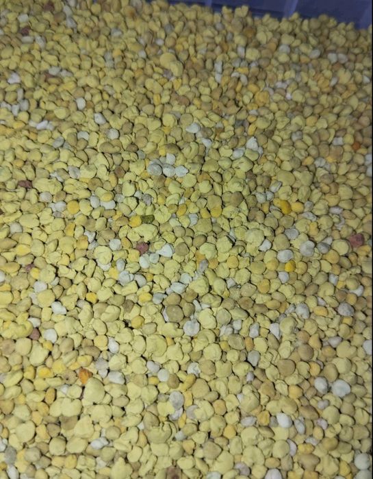 Бджолиний пилок, перга, прополіс, мед гречаний, трутневий гомогенат