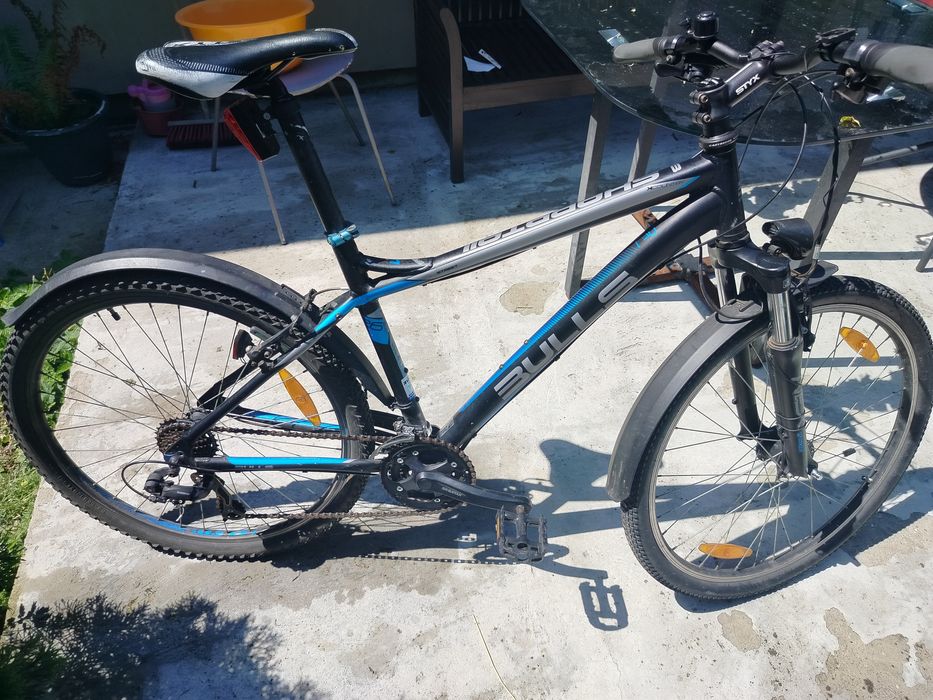 Rower Bulls Sharptail