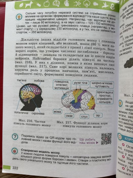 Підручники 5 клас