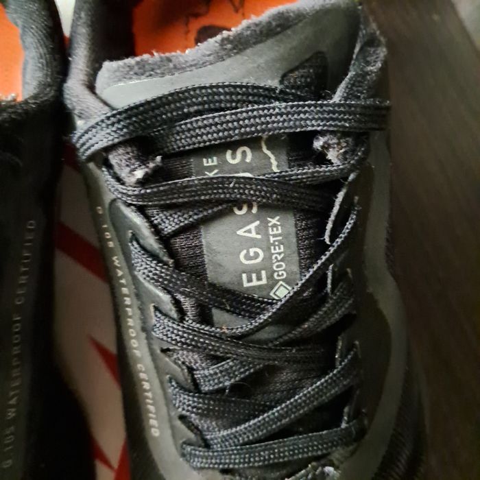 Кросівки Nike Zoom Pegasus 36 Trail Gore-Tex