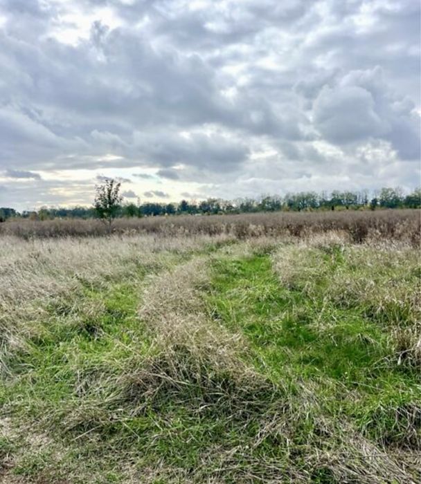 Продаж земельної ділянки в Бохониках!!!