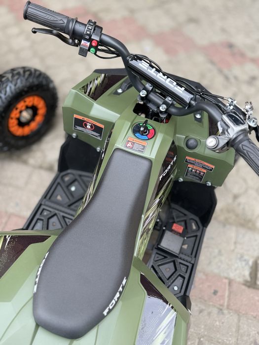 Квадроцикл дитячий електричний Forte FFG1000
