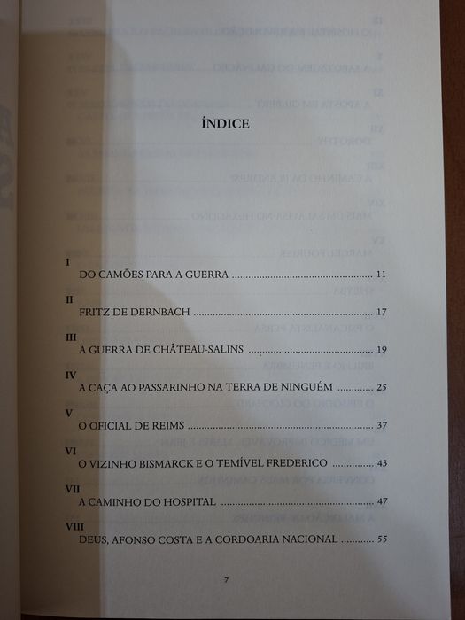 A Guerra do Salavisa