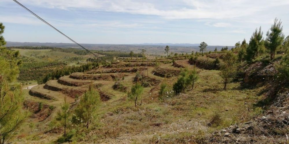 LLP-Limpeza de terrenos/ lavra terrenos/Prestação de serviços