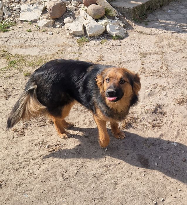 Oddam w dobre ręce.