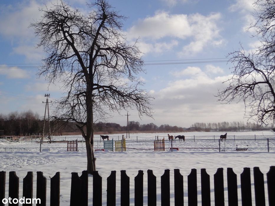 Posiadłość pod Kępnem-2 domy, restauracja, mieszkania, stajnia i stawy