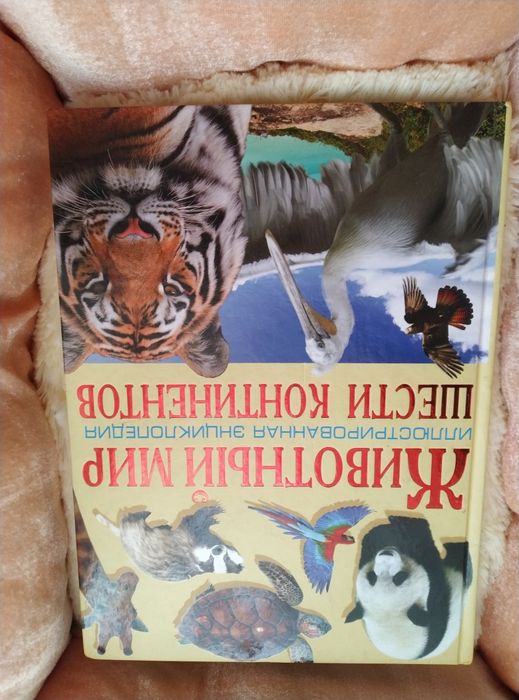Животный мир. Иллюстрированная энциклопедия шести Континетов