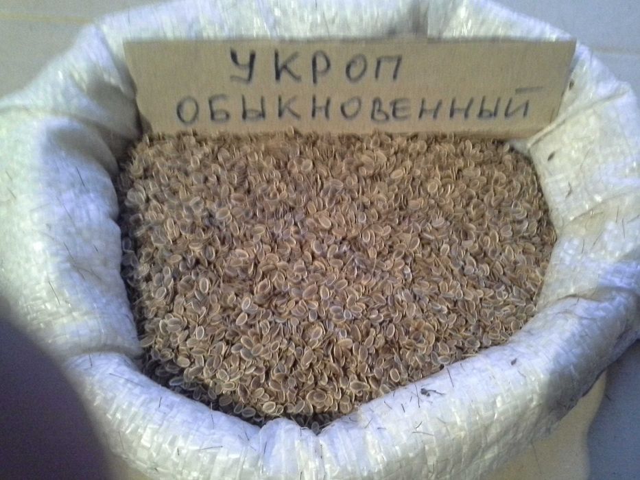 Насіння лікарських та пряно-ароматичних культур, петрушка, кріп інші.
