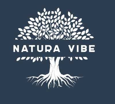 Caixa dos Sete Chakras Yoga