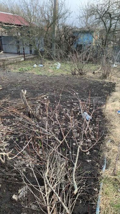 Дача Ринковського кооператив Граніт