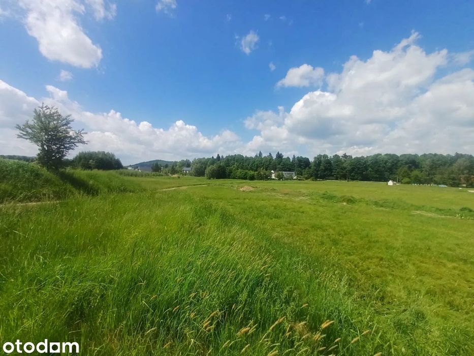 Działka budowlano-usługowa 53-MN/U Trzebieszowice - Więcej