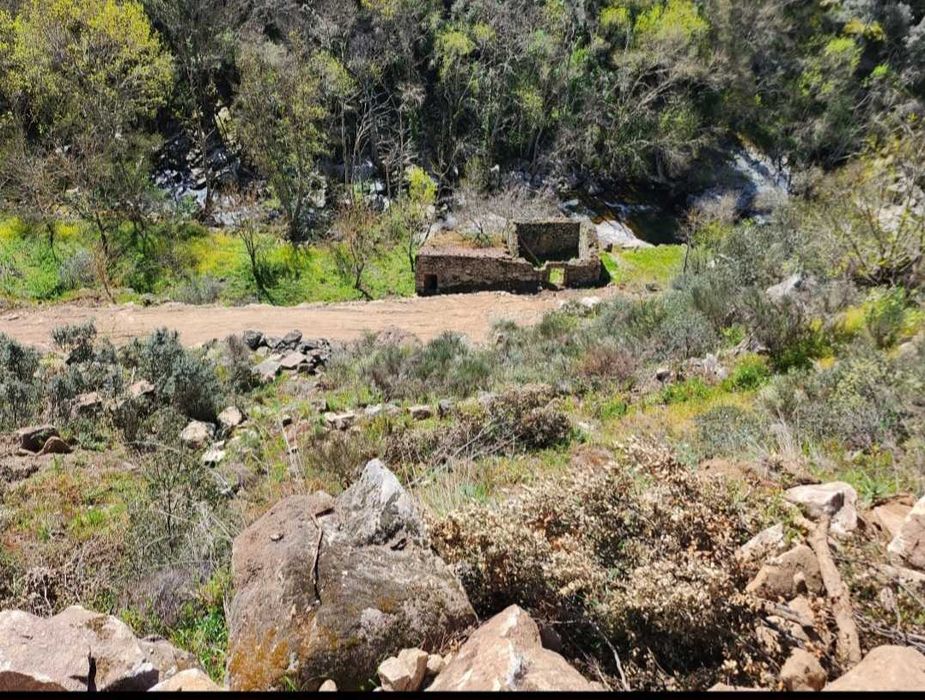 Terreno Lamego com Moinho