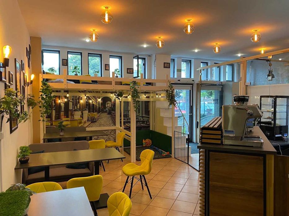 Lokal 55 m² – gastro/biuro/sklep – 5 min pieszo od Rynku