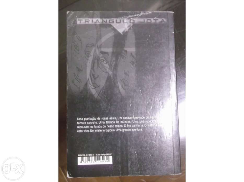 Livro coleção Triângulo Jota